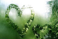 天涯论坛里的白马传说